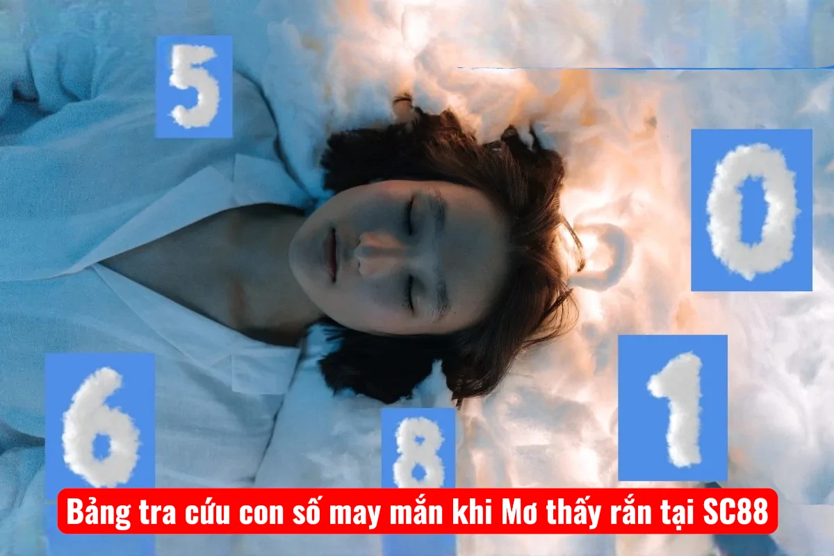 Bảng tra cứu con số may mắn khi Mơ thấy rắn tại SC88